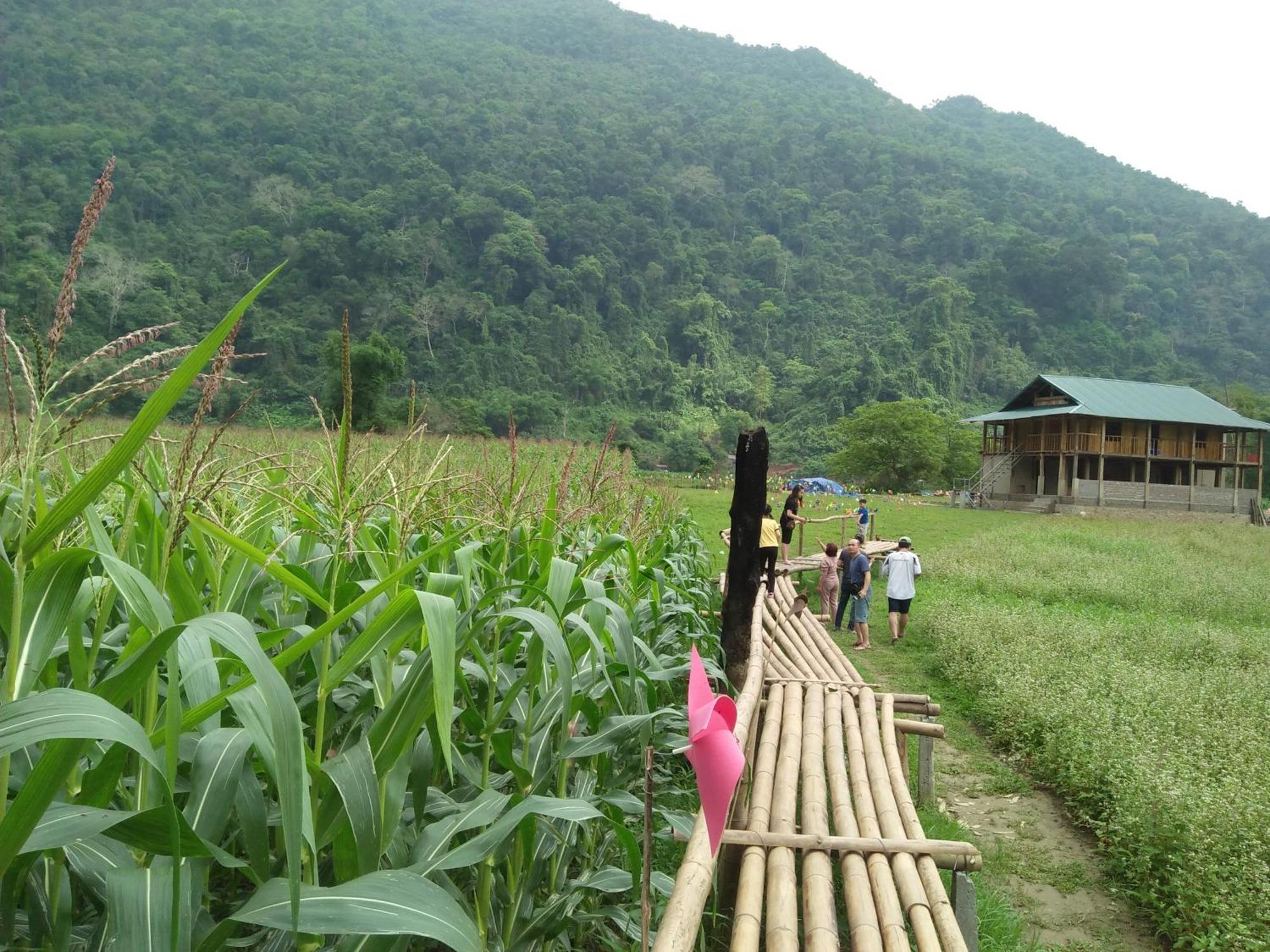 Tran Xuan Homestay Ba Be Екстер'єр фото